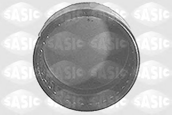 1325735 SASIC Подшипник задн. балки внешний