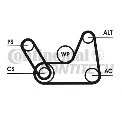 6PK1019ELASTT1 CONTITECH Комплект ремня приводного+инструмент fordmazda 1.251.41.6 01-