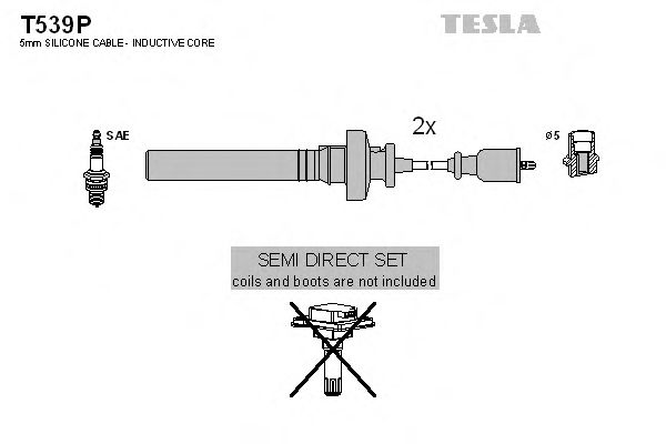 T539P TESLA Провод