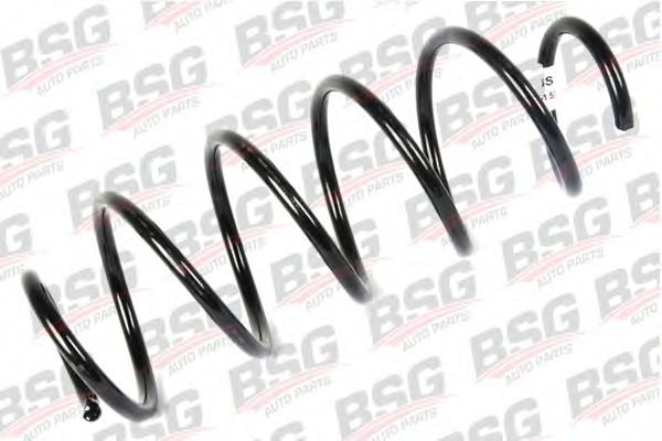 BSG30305021 BSG пружина передняя Фи 2-