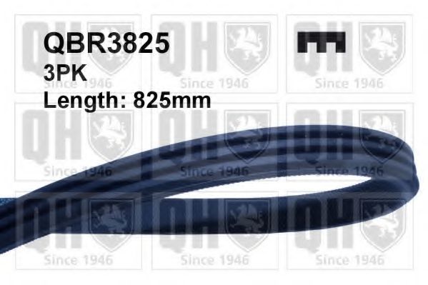 QBR3825 QUINTON HAZELL РЕМЕН 49-030825
